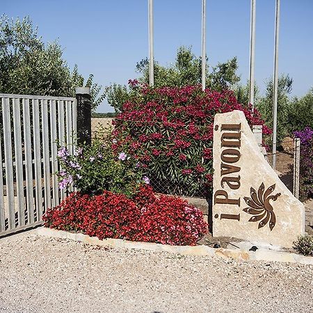Agrimare I Pavoni Lägenhet Montalto di Castro Exteriör bild