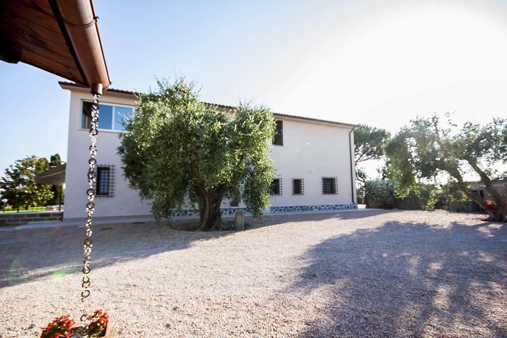 Agrimare I Pavoni Lägenhet Montalto di Castro Exteriör bild