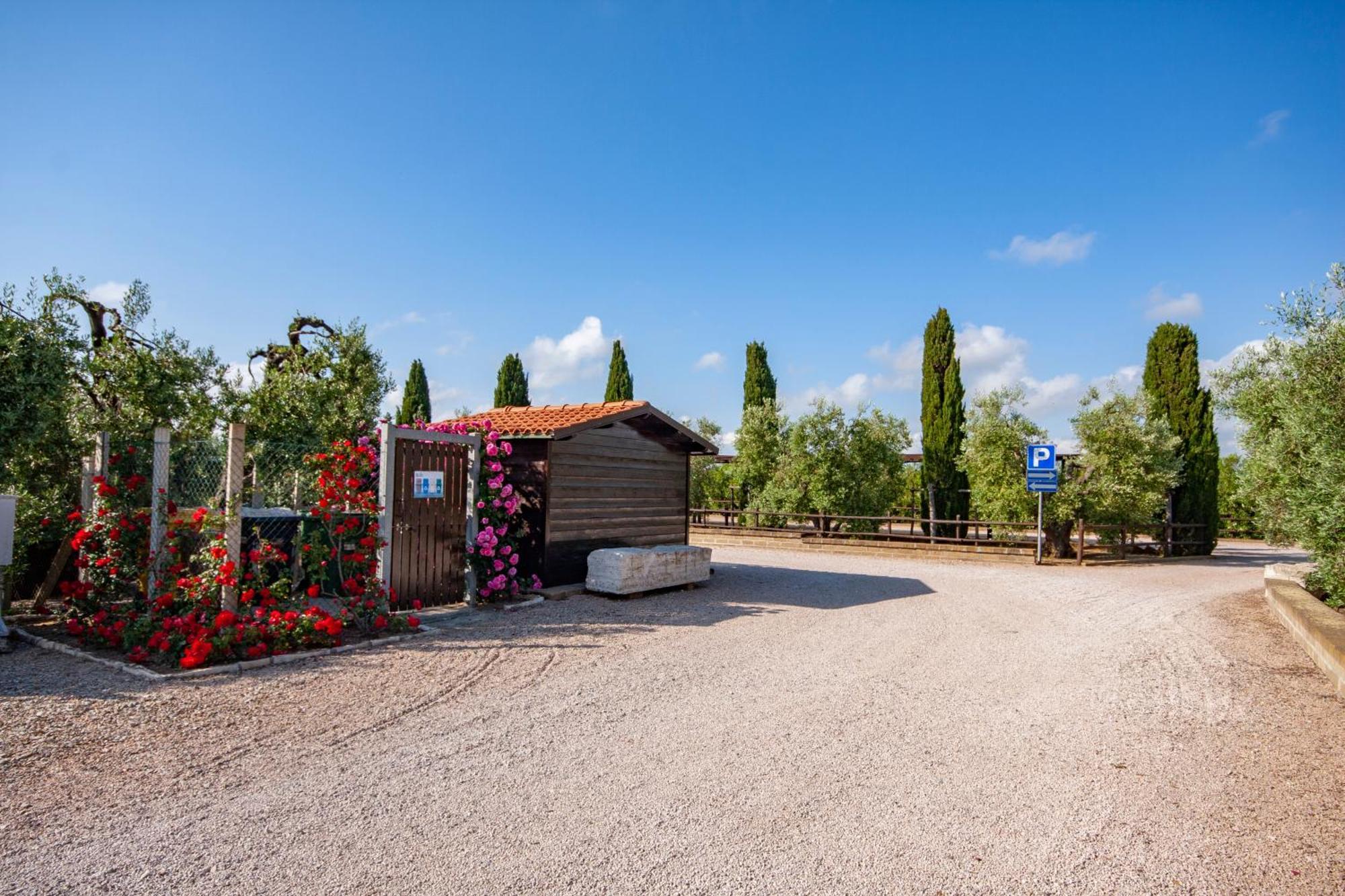 Agrimare I Pavoni Lägenhet Montalto di Castro Exteriör bild